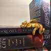 🔥🔥2025 Mother's Day Gift 49% Off--📚3D Printing Sleeping Bookshelf Dragon
