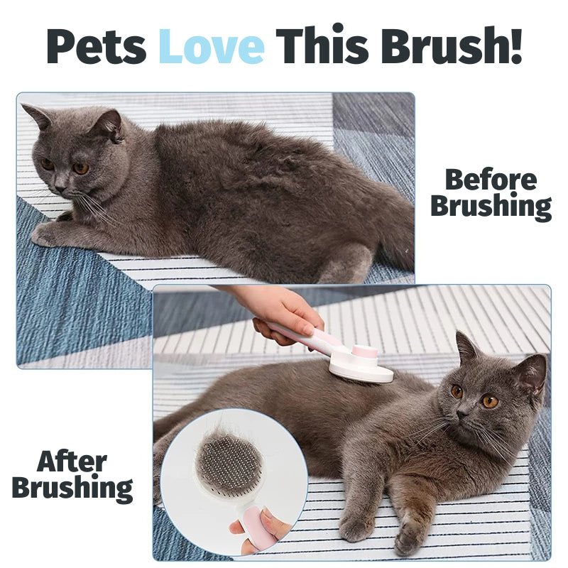 🔥(Last Day Promotion - Save 66% OFF) Self-Cleaning cat Brush  !!!!-🔥Buy More,Save More🔥