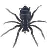Spider Soft Lure Fishing Lures