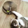 (🔥Last Day Promotion- SAVE 48% OFF)Magic Cat Scratching Toy(Buy 2 Free Shipping NOW)