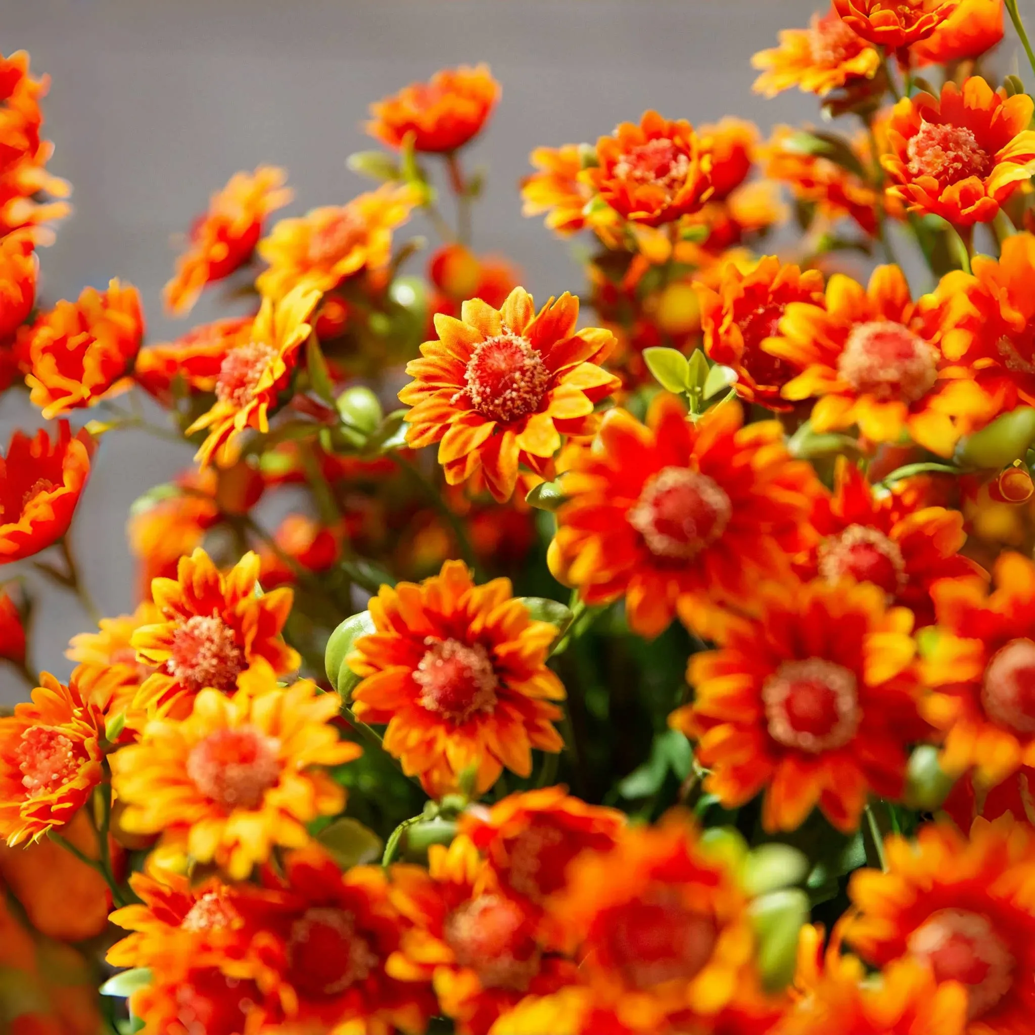 🔥Letzter Tag 49% Rabatt🌻Künstliche Chrysanthemen in Sonnenuntergangsfarben