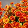 🔥Letzter Tag 49% Rabatt🌻Künstliche Chrysanthemen in Sonnenuntergangsfarben