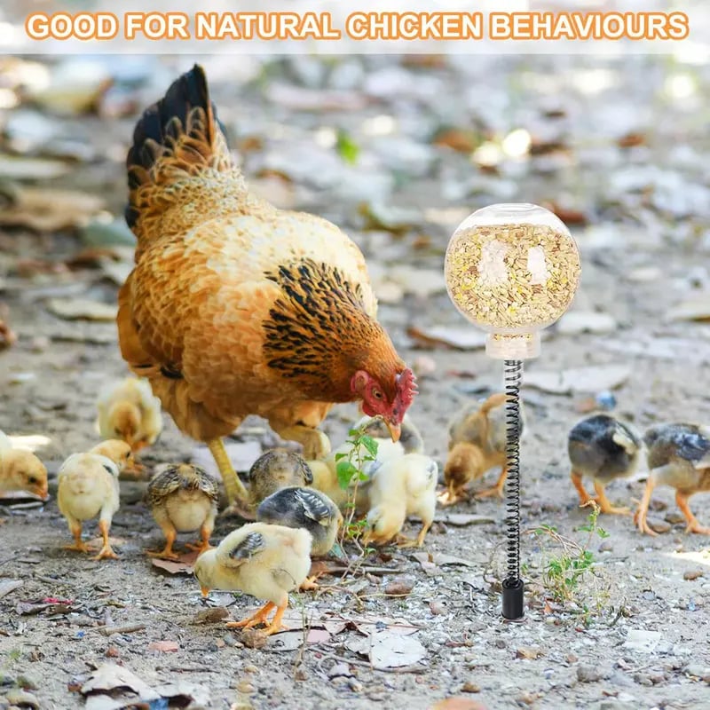 🔥LAST DAY 50% OFF 🐔Ultimate Chicken Peck Toy (2PCS)