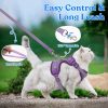 Cat Harness & Leash