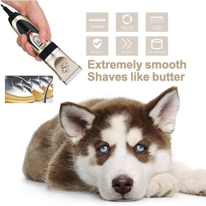 Buy one get ten countdown day!! Low noise pet hair clipper