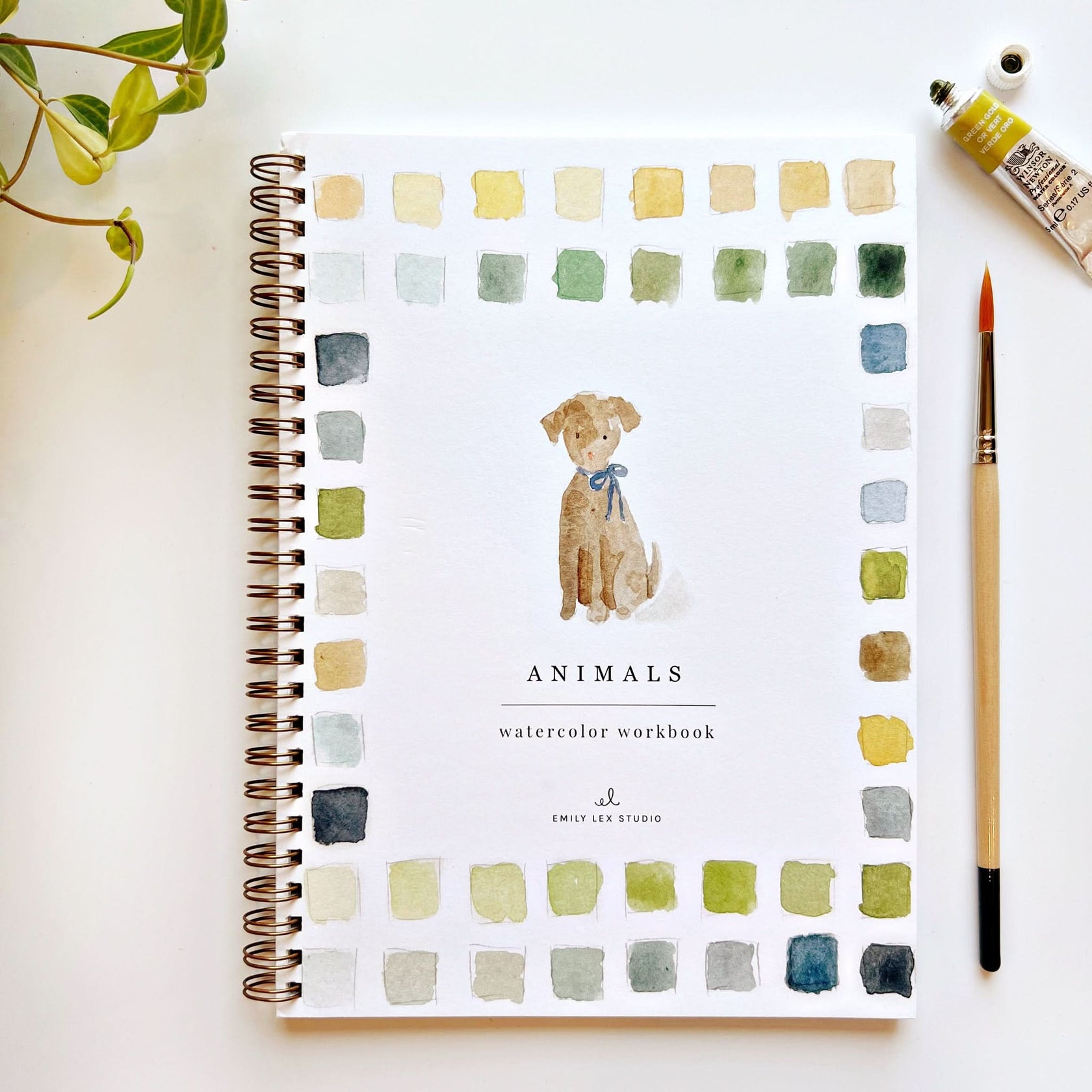 🐕️Animals Watercolor Workbook