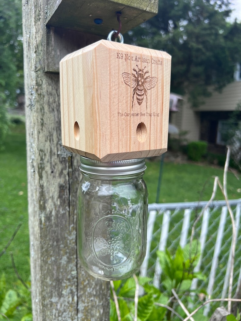 ✨Hot Sale 50% OFF--🔥Best Carpenter Bee Trap