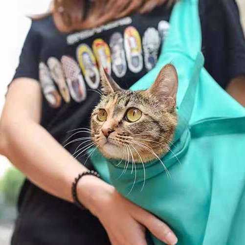 🔥Last Day Promotion 50% OFF🔥Cat Carrier Pouch⚡BUY 1 GET 1 FREE