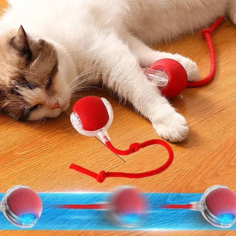 🔥Last Day Promotion 48% OFF-🎁-2025 New Interactive Rolling Pet Ball Toy