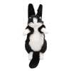 🎁TikTok Last Day Sale - 70% OFF❤️Cute Cat Backpack🐱💕