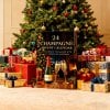 🔥Last Day 50% OFF -🥂2025  Champagne Advent Calendar🎄