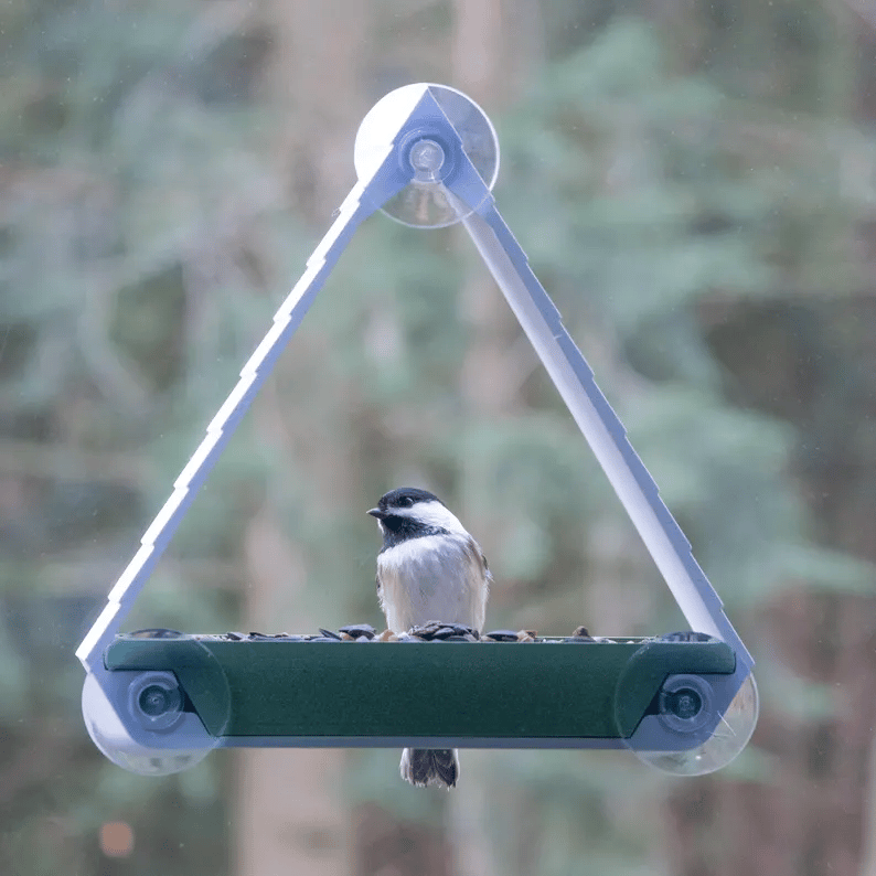 (🔥HOT SALE NOW 49% OFF) Personalized Window Bird Feeder - Buy 2 Free Shipping