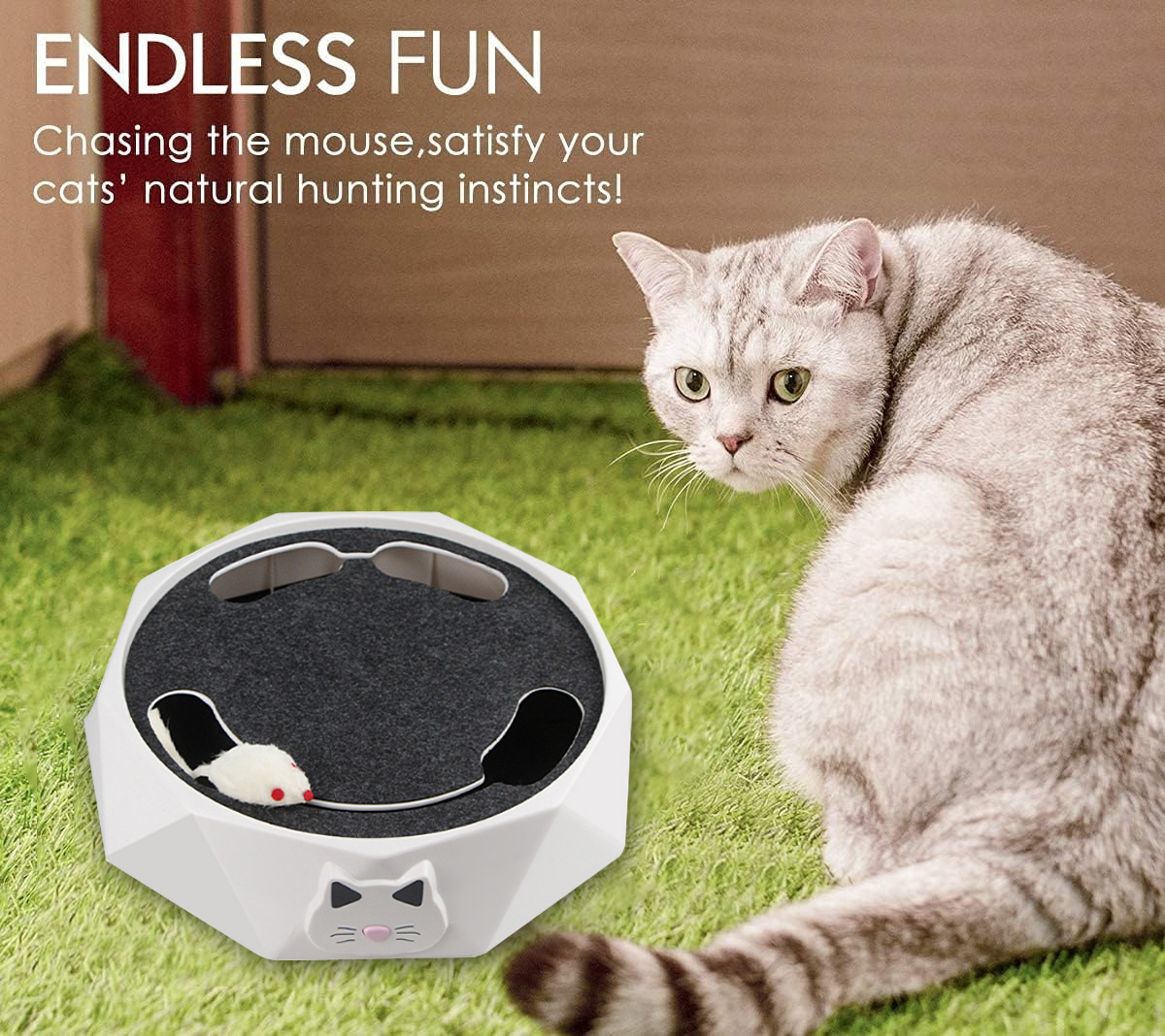 Sale🔥Cat Toy with Running Mouse