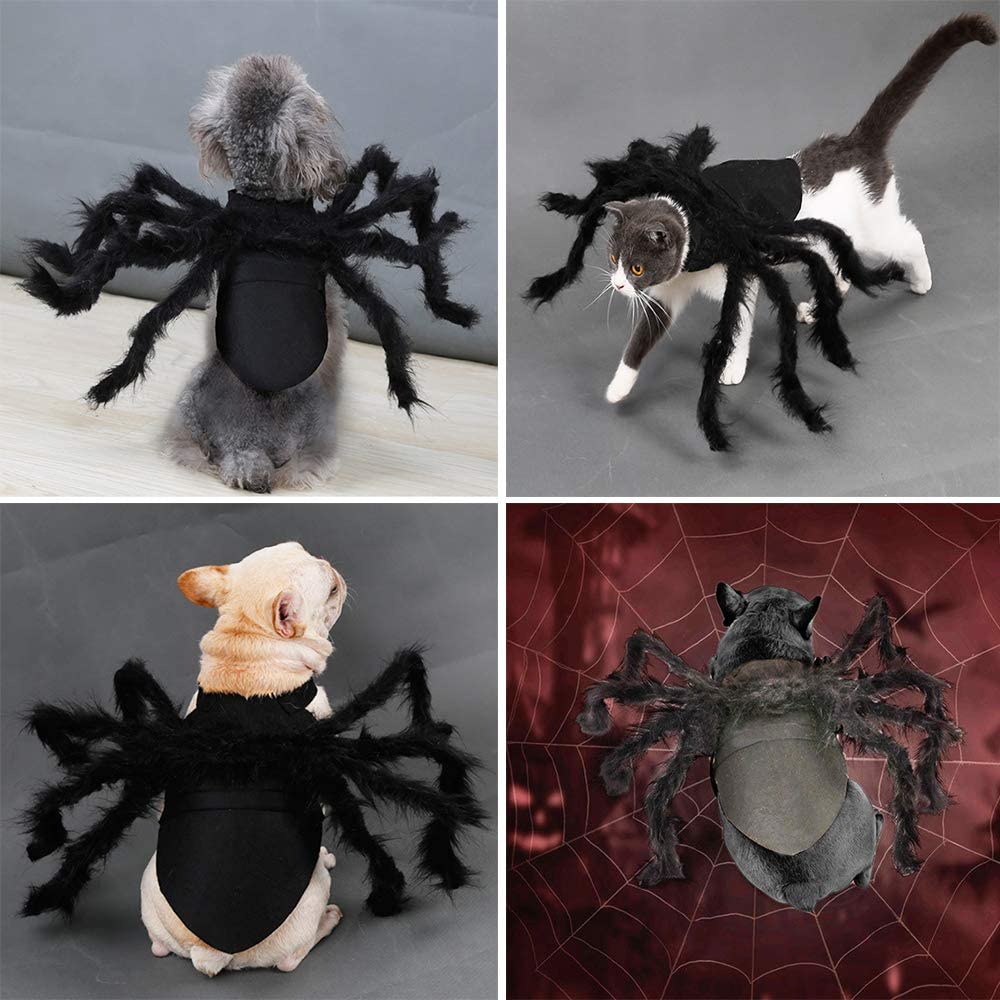 (🎃Halloween Promotion-50% OFF) Halloween Pet Spider Pup Dog Costume