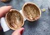 💕Handmade Easter Walnut Shell Doll House