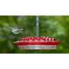 ❤️Mother's Day Sale 49% OFF-MARY'S HUMMINGBIRD FEEDER WITH PERCH