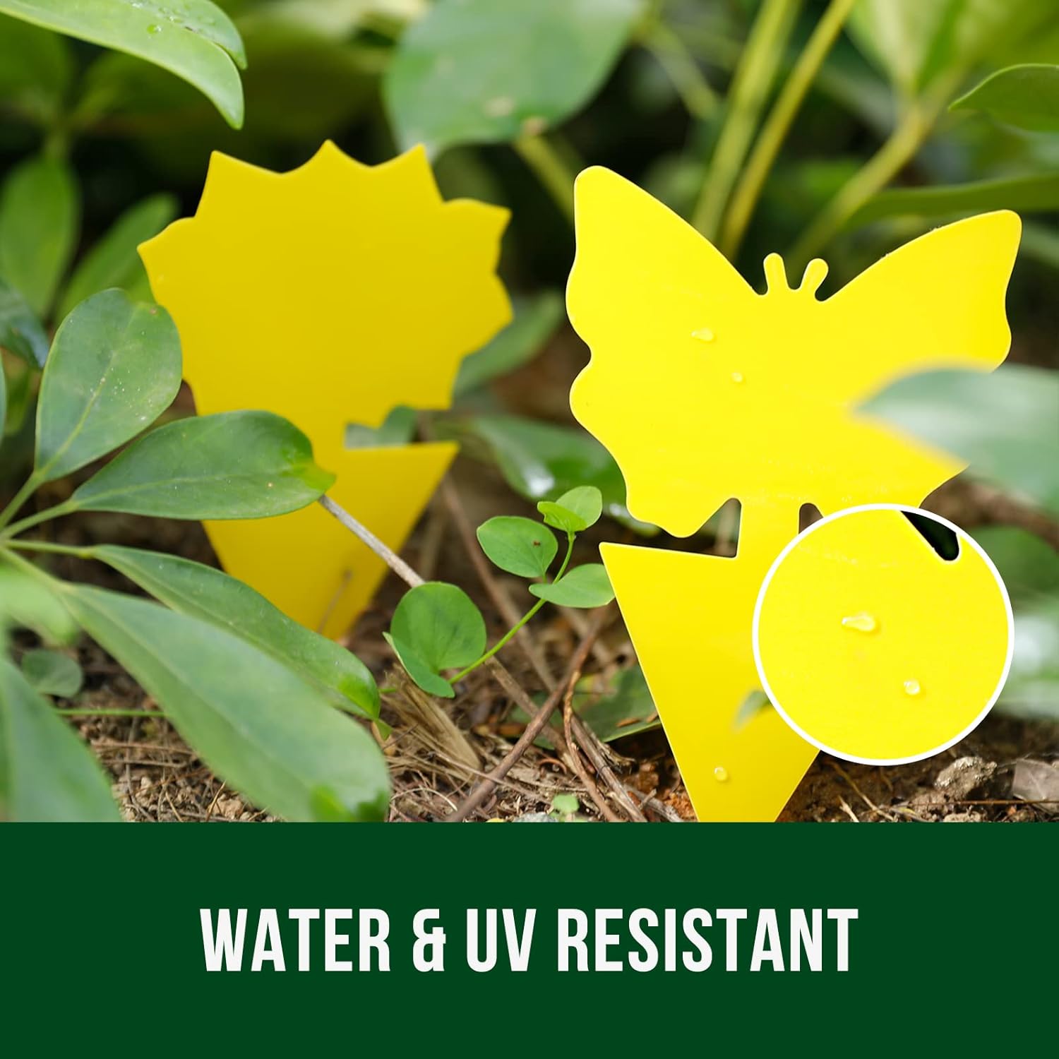 🎁TikTok Last Day Sale - 70% OFF🎉Yellow Insect Traps🦋 – Pest Control for Plants Without Chemicals