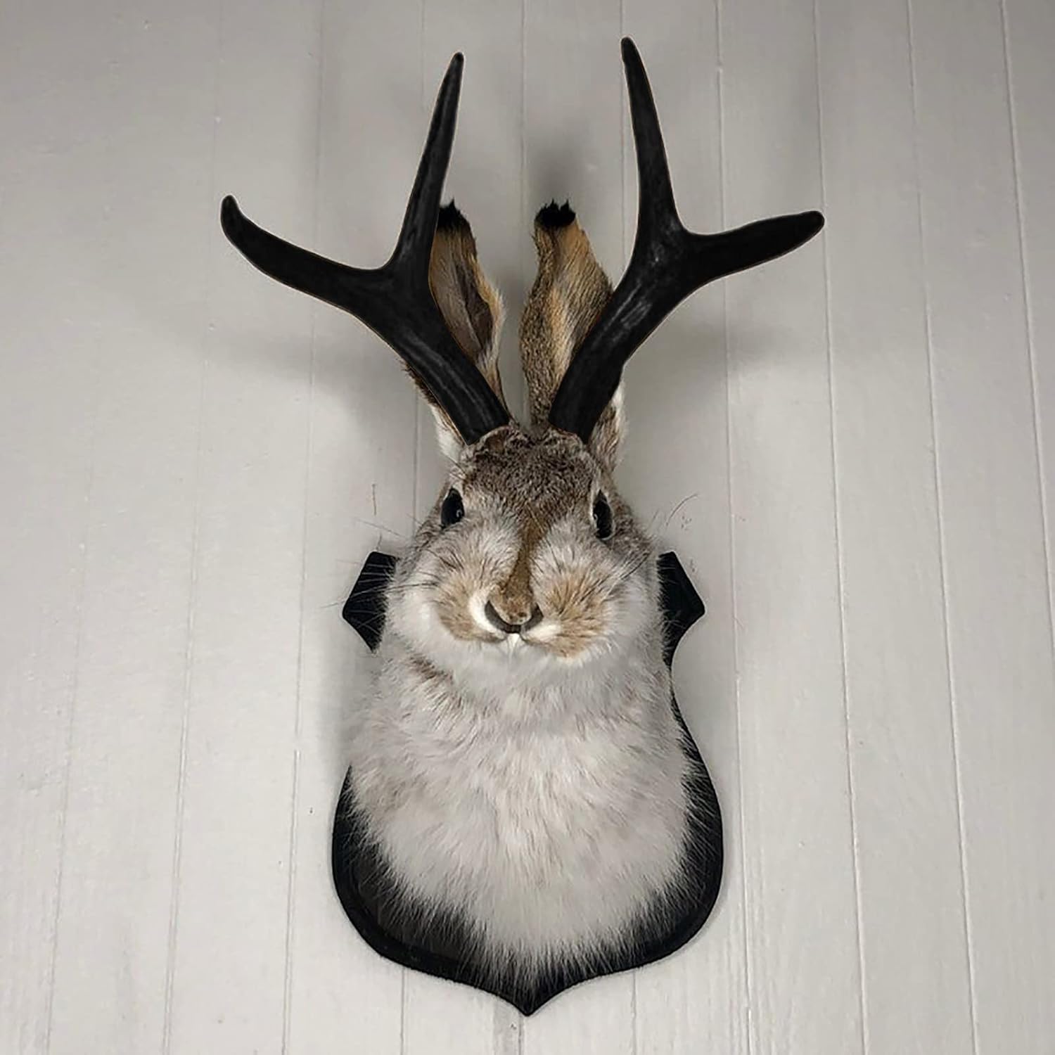 🔥Last Day Promotion - 50% OFF🎁 Handmade Jackalope! ! The latest Legend of Antlers