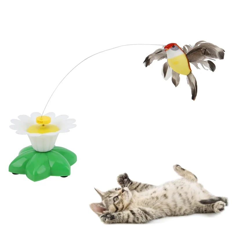 🔥Letzter Tag Verkauf 49% Rabatt🔥Elektrisches Vogelspielzeug für Katzen♧