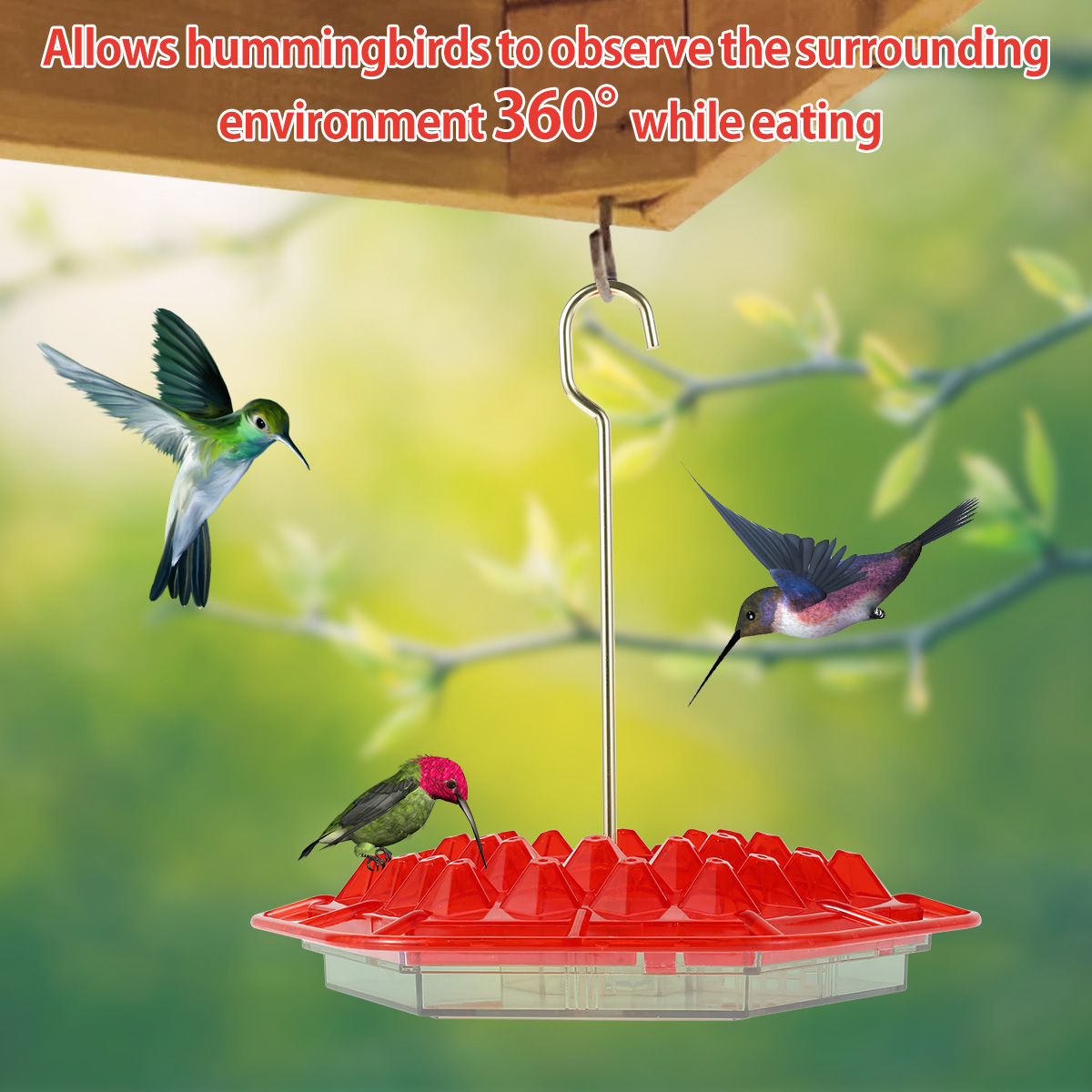 🔥Last Day Promotion 50% OFF🔥-Hummingbird Feeder(BUY MORE SAVE MORE)