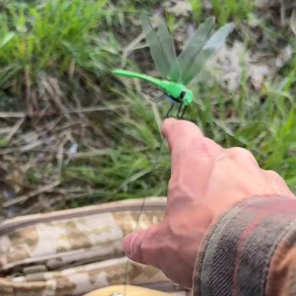 🔥Last Day: 50% Off! 🔥 Dragonfly Bug-Off Clips – Nature-Inspired Protection for Outdoor Anglers (3-Pack)