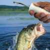 Last Day Promotion 70% OFF - 🎣Quick Release Fish Hook Extractor