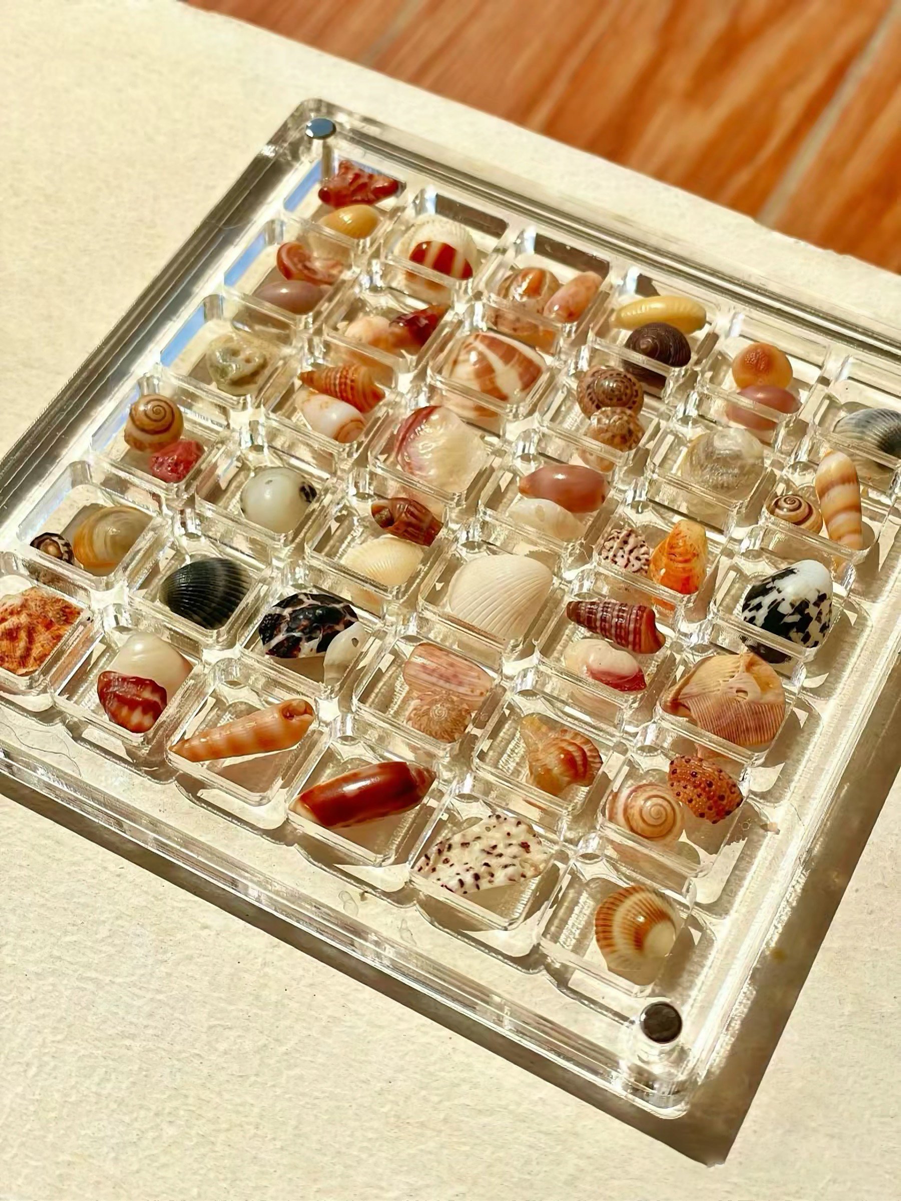 (✨Hot Sale Now)--Acrylic Magnetic Seashell Display Box