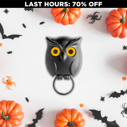 Spooky Night Owl Key Holder (70% OFF)