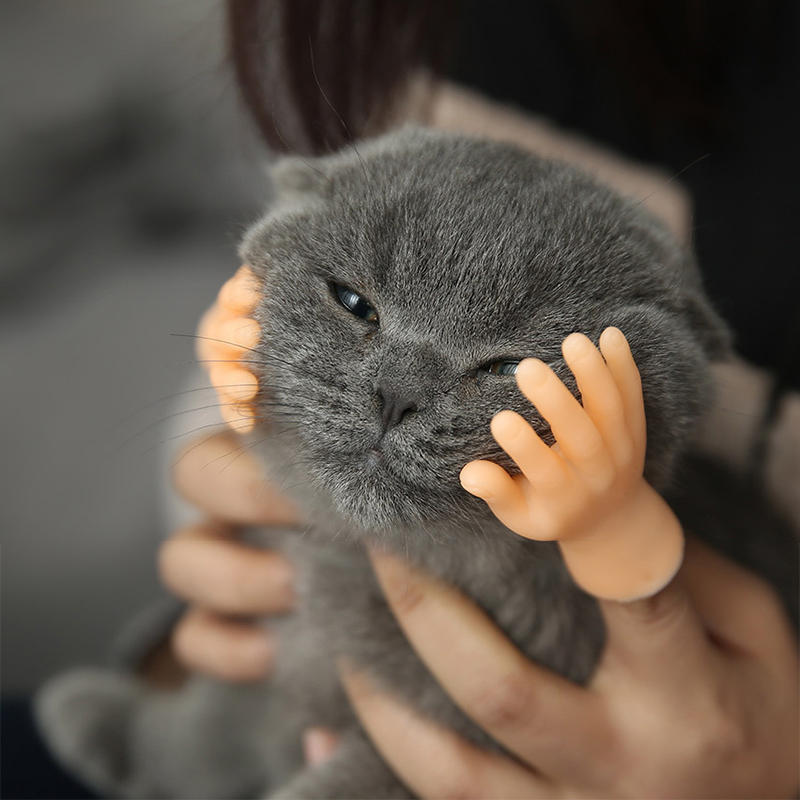 🤣Funny Mini Hand Cat Massage Toy