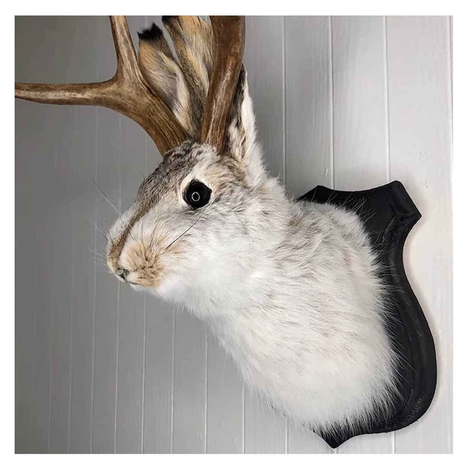 🧨New Year Sale 48% OFF🔥  🐰 Jackalope! ! The latest Legend of Antlers🐰