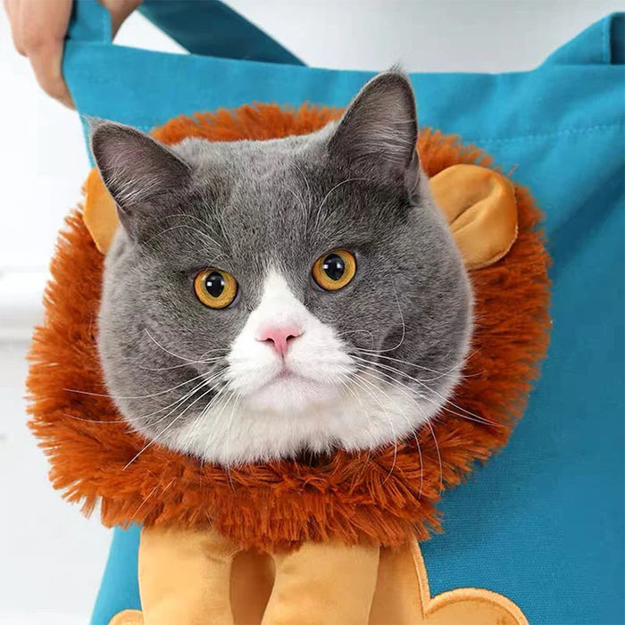 (🔥Last Day Promotion-48%OFF)Lion-shaped Pet Canvas Bag(Buy 2 Free Shipping)
