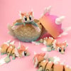 Adorable Surprise Dragon Egg Toy Collection