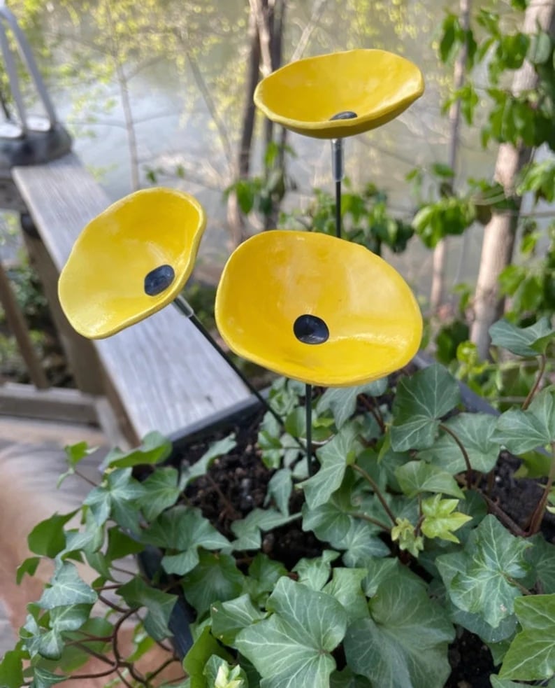 🎖️July 4th Flash Sale: 70% OFF Sitewide! 🐝Bee Watering Station,🦋Butterfly Puddler,Hummingbird Drinking Cups