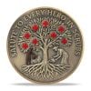 Tribute to Nurse & Medical Hero EMS Challenge Coin