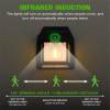 Solar induction lamp