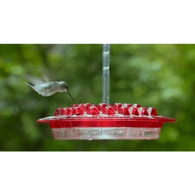 🔥(Last Day Promotion 50% OFF)HUMMINGBIRD FEEDER WITH PERCH-BUY 2 GET 1 FREE & FREE SHIPPING