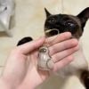 Pet Fur Memory Capsule Keychain
