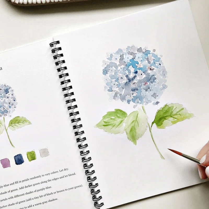 🖼️ Anfängerfreundliches 💕 Aquarell-Arbeitsbuch