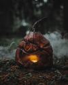 🎁TikTok Last Day Sale - 70% OFF🎃Bloody Accented Pumpkin Decor