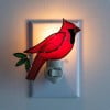 💥Christmas Sale 49% OFF - 🐦Feathered Friend Night Light Collection