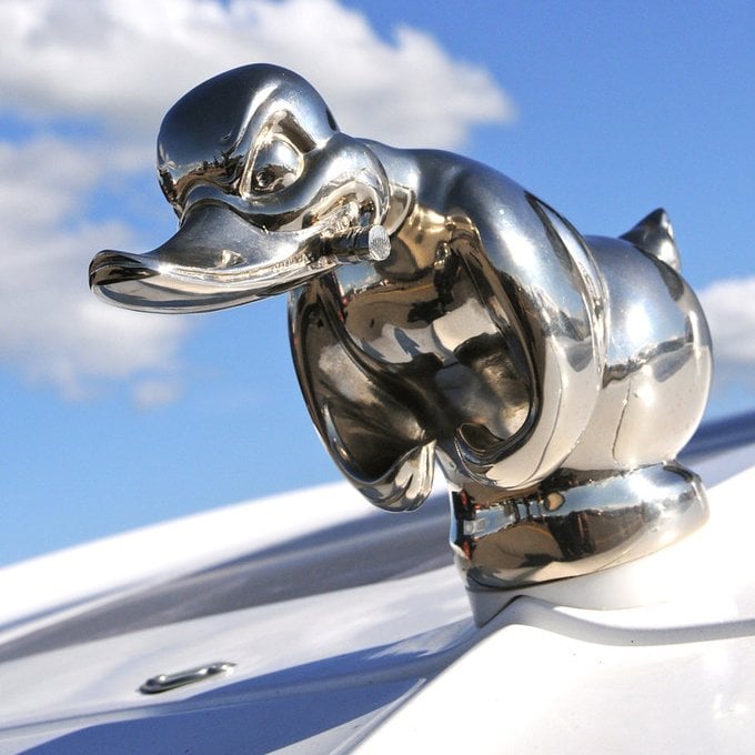 🎉LAST DAY -70%OFF - 🔥Angry  Duck Hood Ornament Death Proof⚡Buy 2 Get Free Shipping