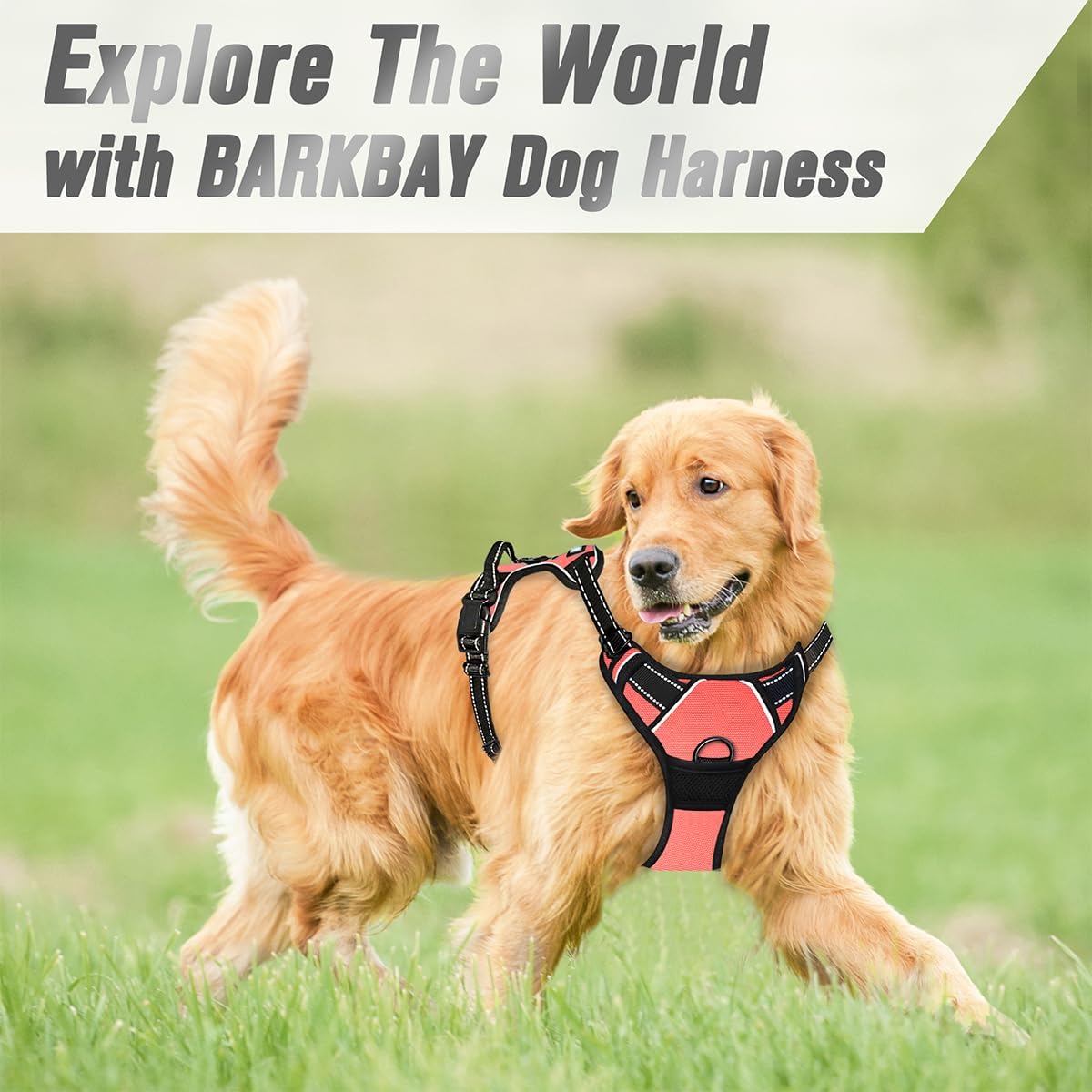 BARKBAY No Pull Dog Harness Front Clip Heavy Duty Reflective Easy Control Handle for Large Dog Walking(Black,L)