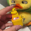 🍂TikTok Fall Sale — Last Day 70% OFF🎉Duck Quacking Fidget Toy🐥