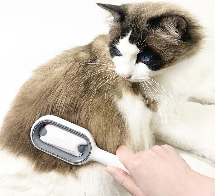 ⚡⚡Last Day Promotion 48% OFF - Pet Knots Remo🔥buy 2 get 1 free