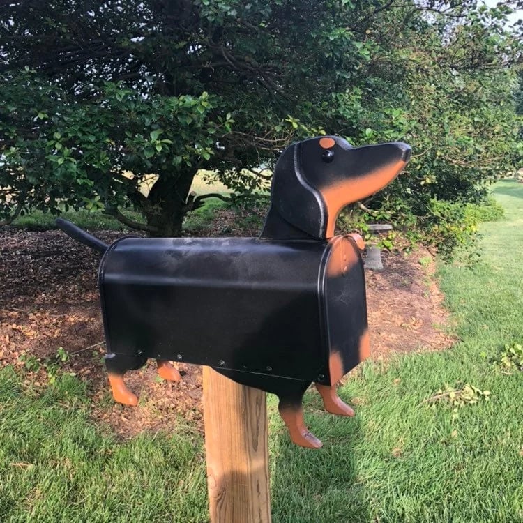 🐶Wiener Dog - Mailbox 📫