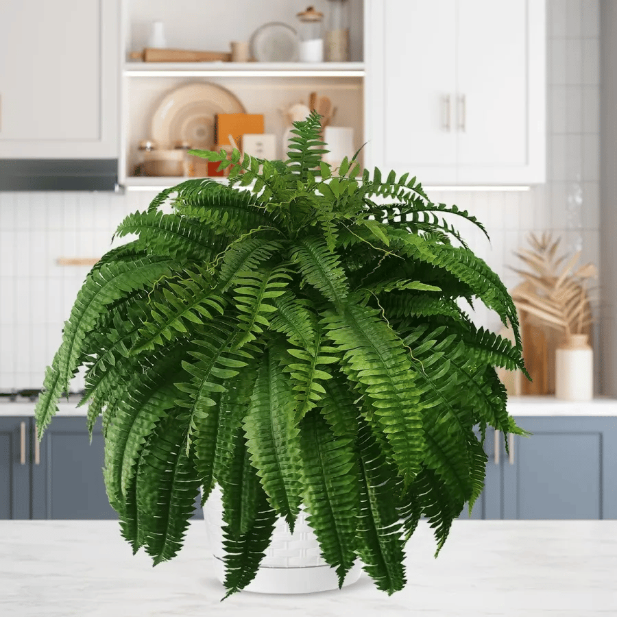 🔥 $9.98 On Sale Today Only 🌱 UV-Resistant Lifelike Artificial Boston Fern