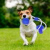 (New Year Sale- Save 50% OFF) Tug-of-War Dog Toy- Buy 2 Get Extra 10% OFF