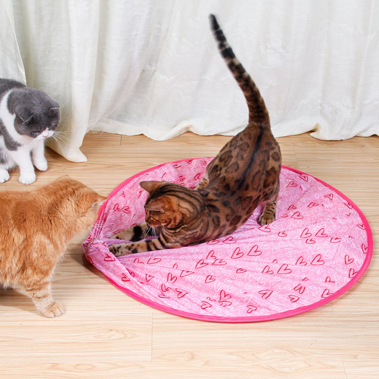 🔥Christmas Hot Sale - 49% Off✨2 in 1 Simulated Interactive Hunting Cat Toy