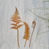 🔥 Celebrate July 4th with 50% OFF!🌿Rusty rural metal ferns are inserted into outdoor garden courtyard decorations and artificial plant handicrafts