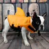 (🔥Last Day Promotion 50% OFF)Dog Life Vest Shark- Keep Your Pet Safe and Stylish in the Water!
